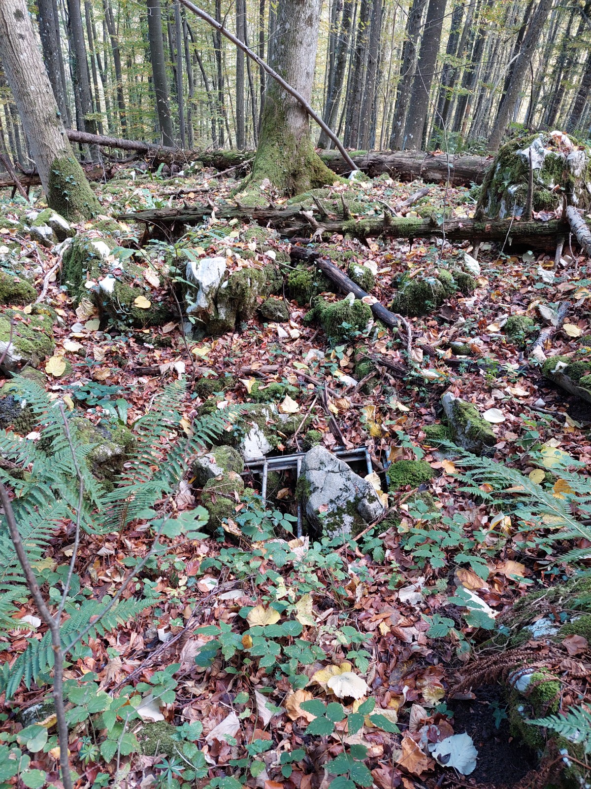 Avenul Necunoscut - Foto: Ghita Iancu